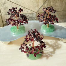 Load image into Gallery viewer, Lucky Fortune Trees