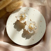 Load image into Gallery viewer, Mother Of Pearl with Pearl Brooch