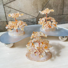 Load image into Gallery viewer, Lucky Fortune Trees