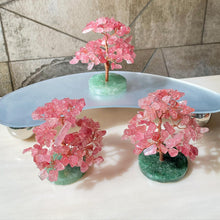 Load image into Gallery viewer, Lucky Fortune Trees