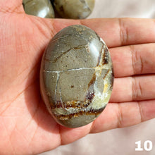 Load image into Gallery viewer, Septarian Palm Stone