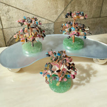 Load image into Gallery viewer, Lucky Fortune Trees