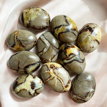 Load image into Gallery viewer, Septarian Palm Stone