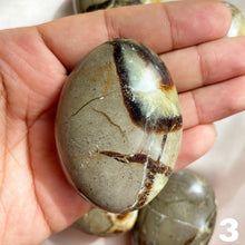 Load image into Gallery viewer, Septarian Palm Stone