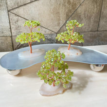 Load image into Gallery viewer, Lucky Fortune Trees