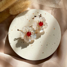 Load image into Gallery viewer, Mother of Pearl with Carnelian Brooch