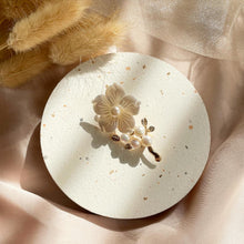 Load image into Gallery viewer, Mother of Pearl with Pearl Brooch