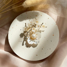 Load image into Gallery viewer, Mother Of Pearl with Pearl Brooch
