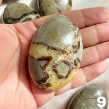 Load image into Gallery viewer, Septarian Palm Stone