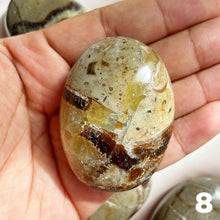 Load image into Gallery viewer, Septarian Palm Stone