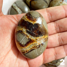 Load image into Gallery viewer, Septarian Palm Stone