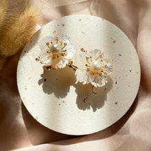 Load image into Gallery viewer, Mother Of Pearl with Pearl Brooch