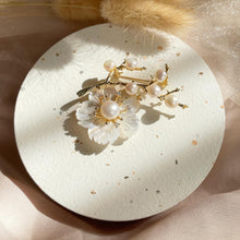 Load image into Gallery viewer, Mother Of Pearl with Pearl Brooch