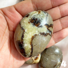 Load image into Gallery viewer, Septarian Palm Stone