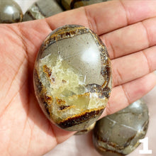 Load image into Gallery viewer, Septarian Palm Stone