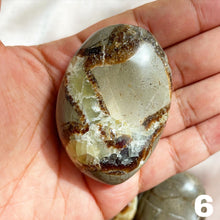 Load image into Gallery viewer, Septarian Palm Stone