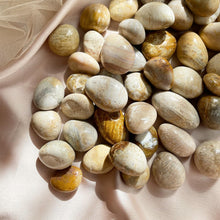 Load image into Gallery viewer, Coral Tumble