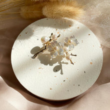 Load image into Gallery viewer, Mother Of Pearl with Pearl Brooch