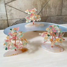 Load image into Gallery viewer, Lucky Fortune Trees