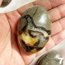 Load image into Gallery viewer, Septarian Palm Stone
