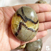 Load image into Gallery viewer, Septarian Palm Stone