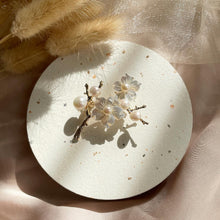 Load image into Gallery viewer, Mother Of Pearl with Pearl Brooch
