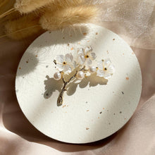 Load image into Gallery viewer, Mother Of Pearl with Pearl Brooch
